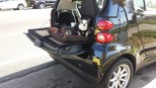 Chihuahua's tailgating at Lake Merritt, Oakland